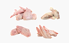 poultry-ali-punte